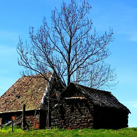 La Maison Des Chats