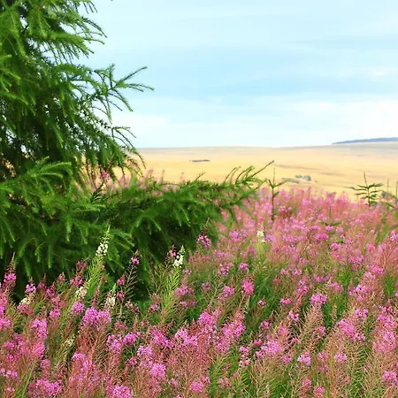 Penzion La Maison Des Chats