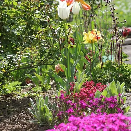 Penzion La Maison Des Chats Saint-Mary-le-Plain