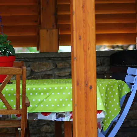 La Maison Des Chats Saint-Mary-le-Plain